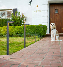 Load image into Gallery viewer, Boyleston LED Path Lights Four Dark Bronze Lights on Display to the Side of a Walkway, In A Front Yard, House In Background, Dog Sitting On Brick Pathway