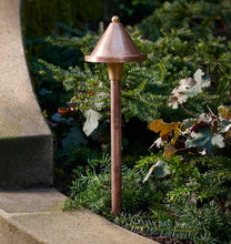 Load image into Gallery viewer, Viola LED Path Light Single Copper Light Featured On A Path In A Garden